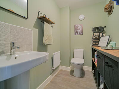Picture 7